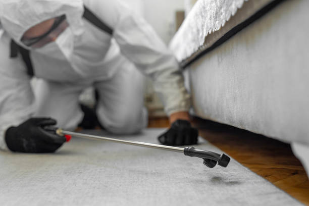Professional Pest Control technician working in Stanley, ND