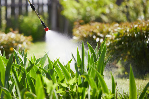 24/7 Emergency Pest Control experts in Stanley, ND